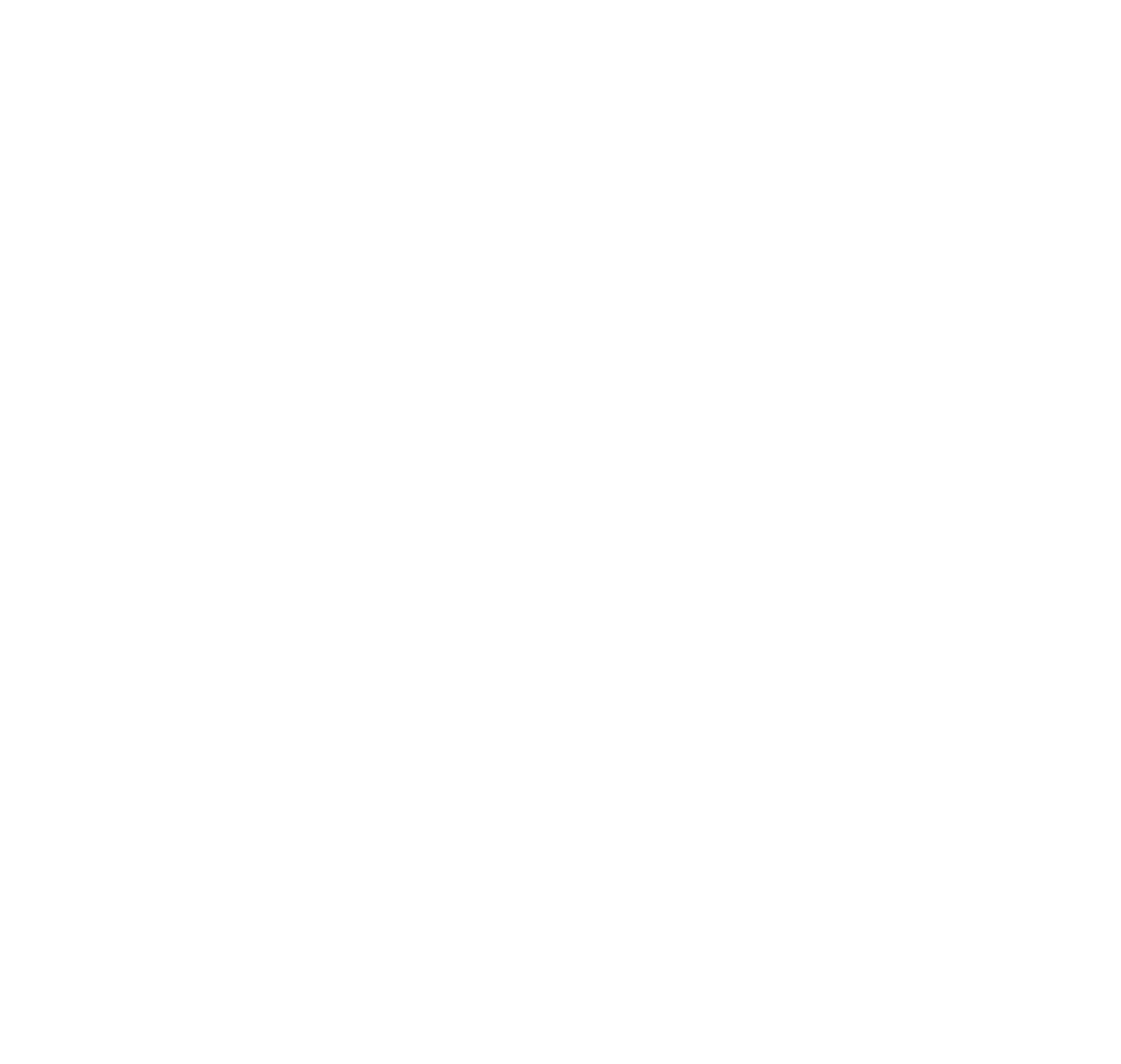 partner-logo