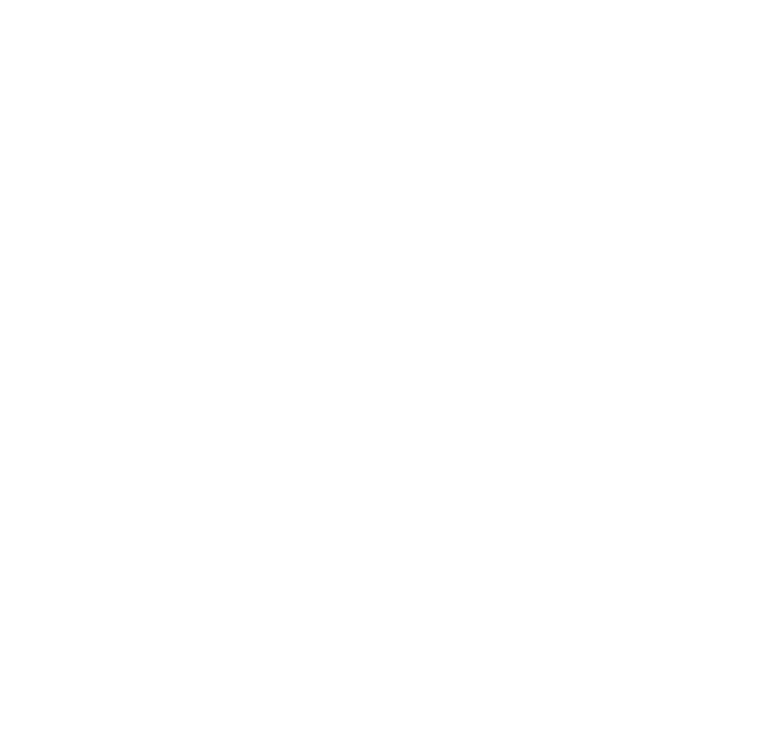 partner-logo