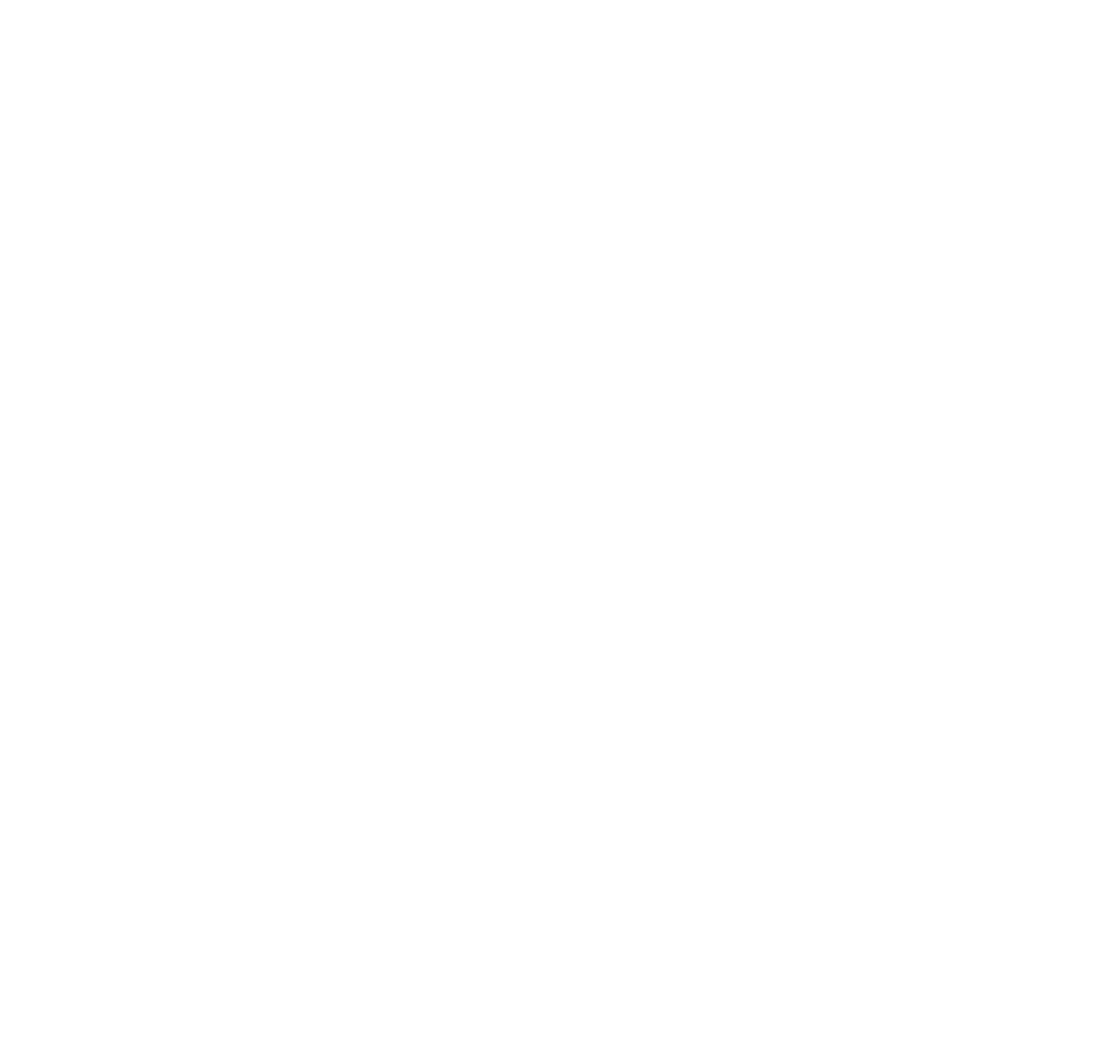 partner-logo