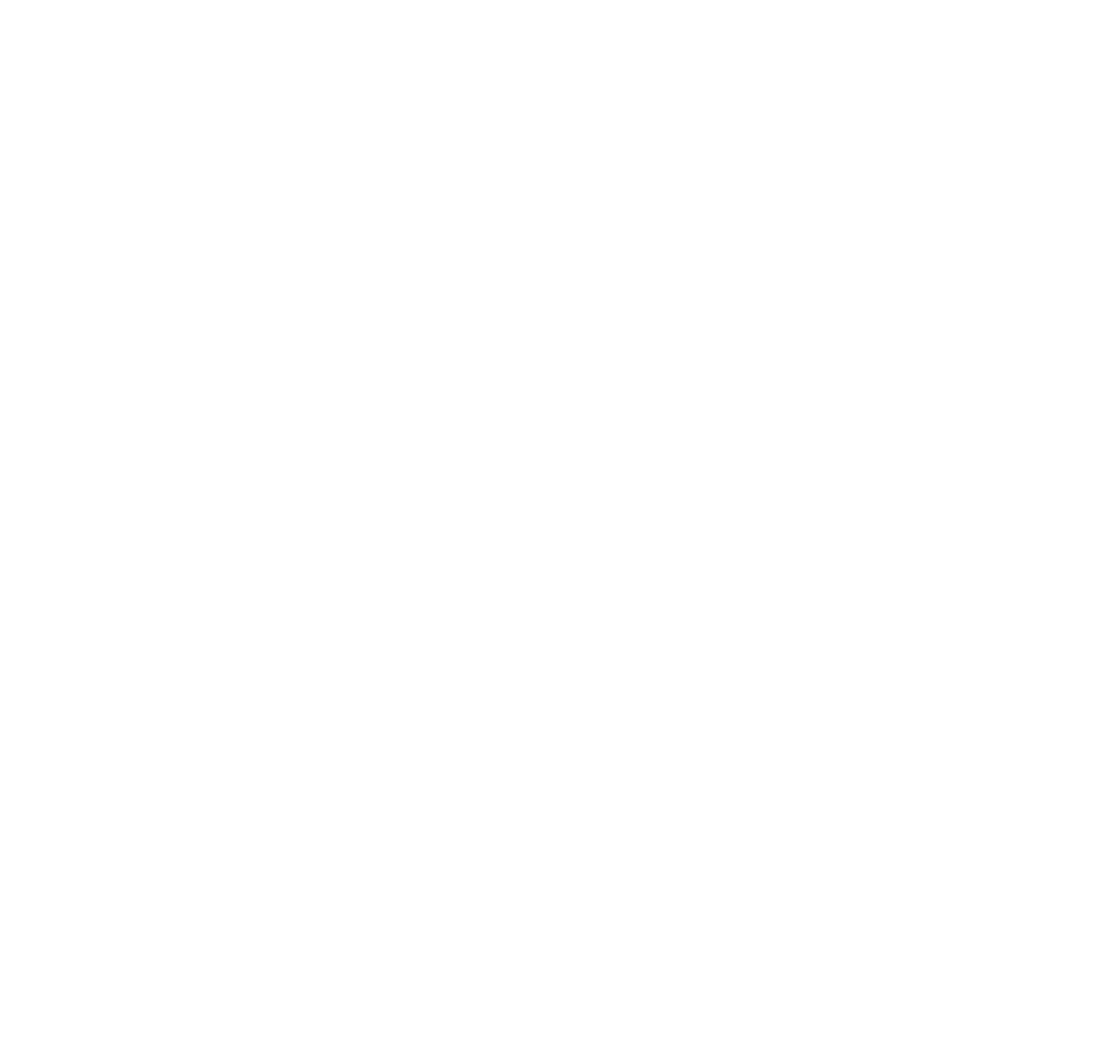 partner-logo