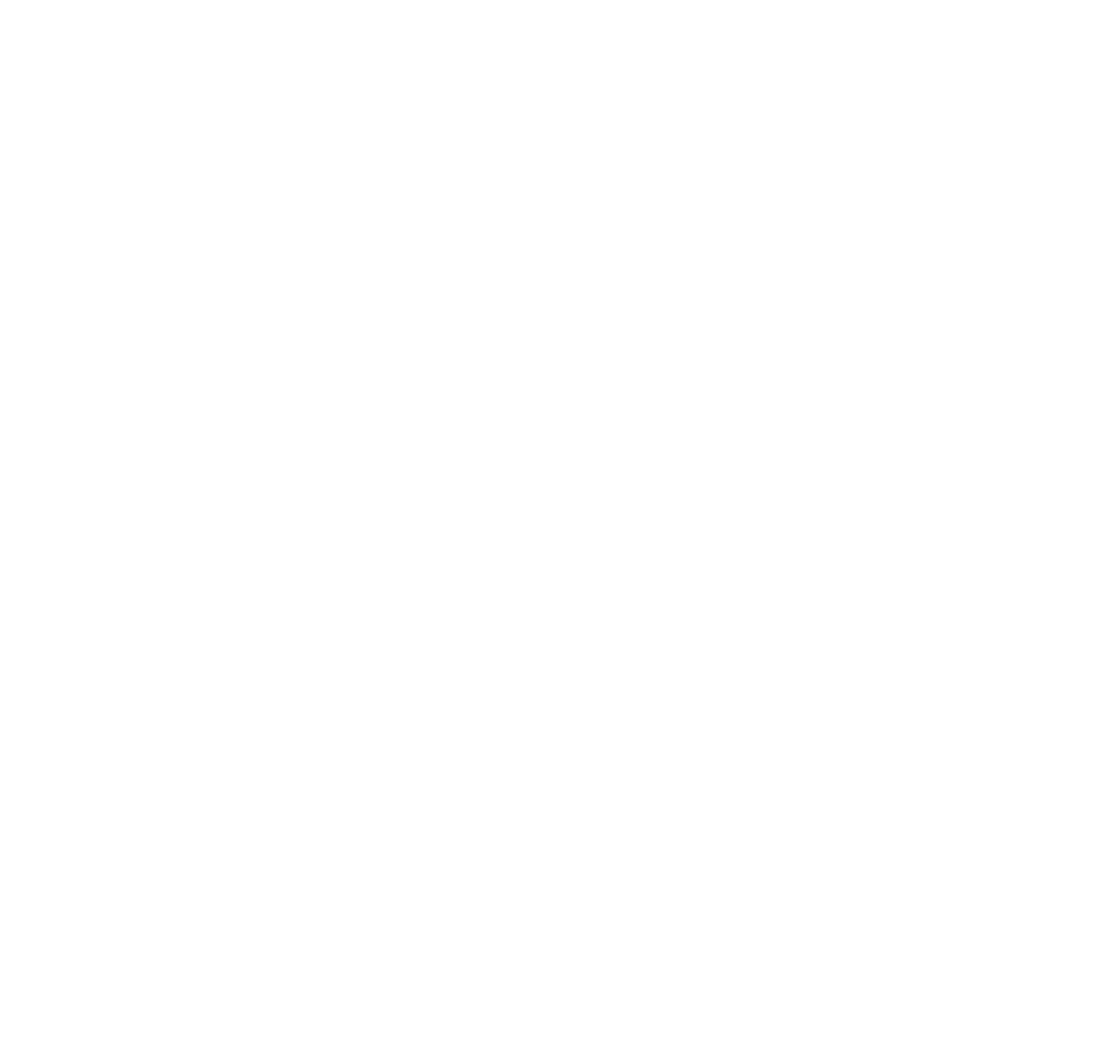 partner-logo