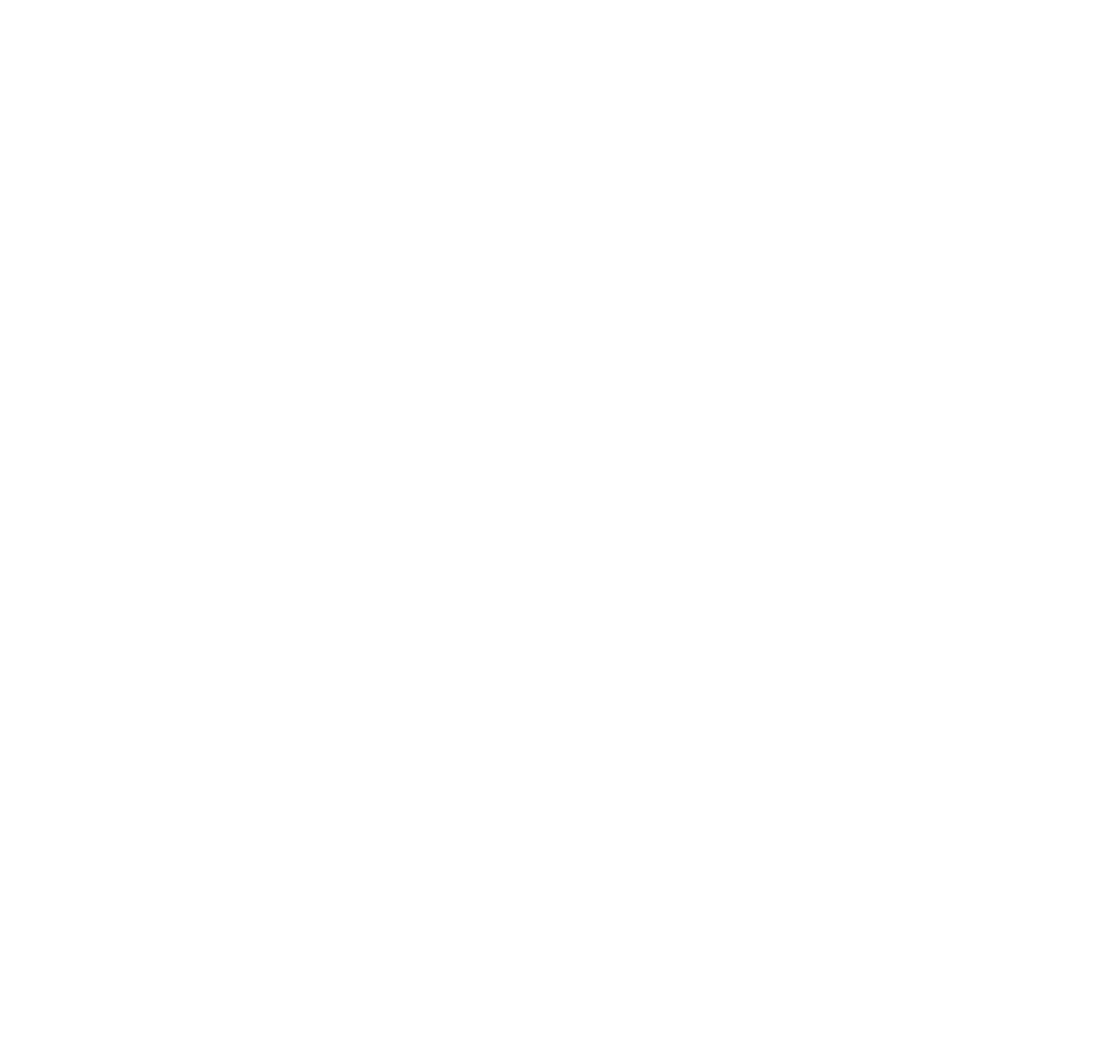 partner-logo