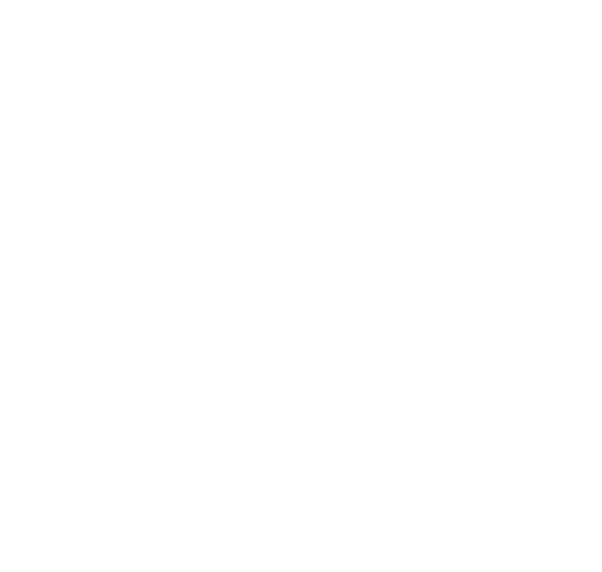partner-logo