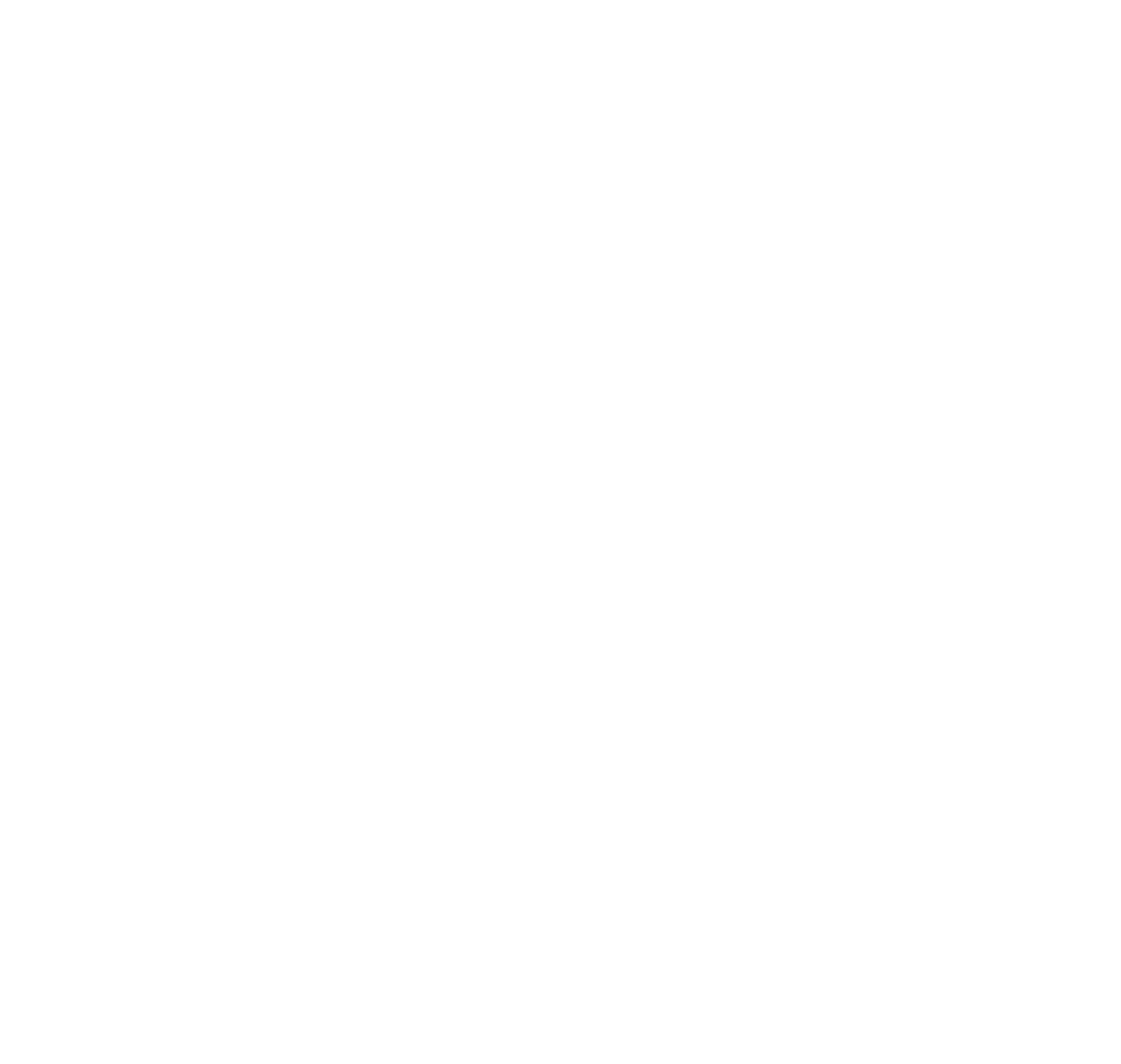 partner-logo