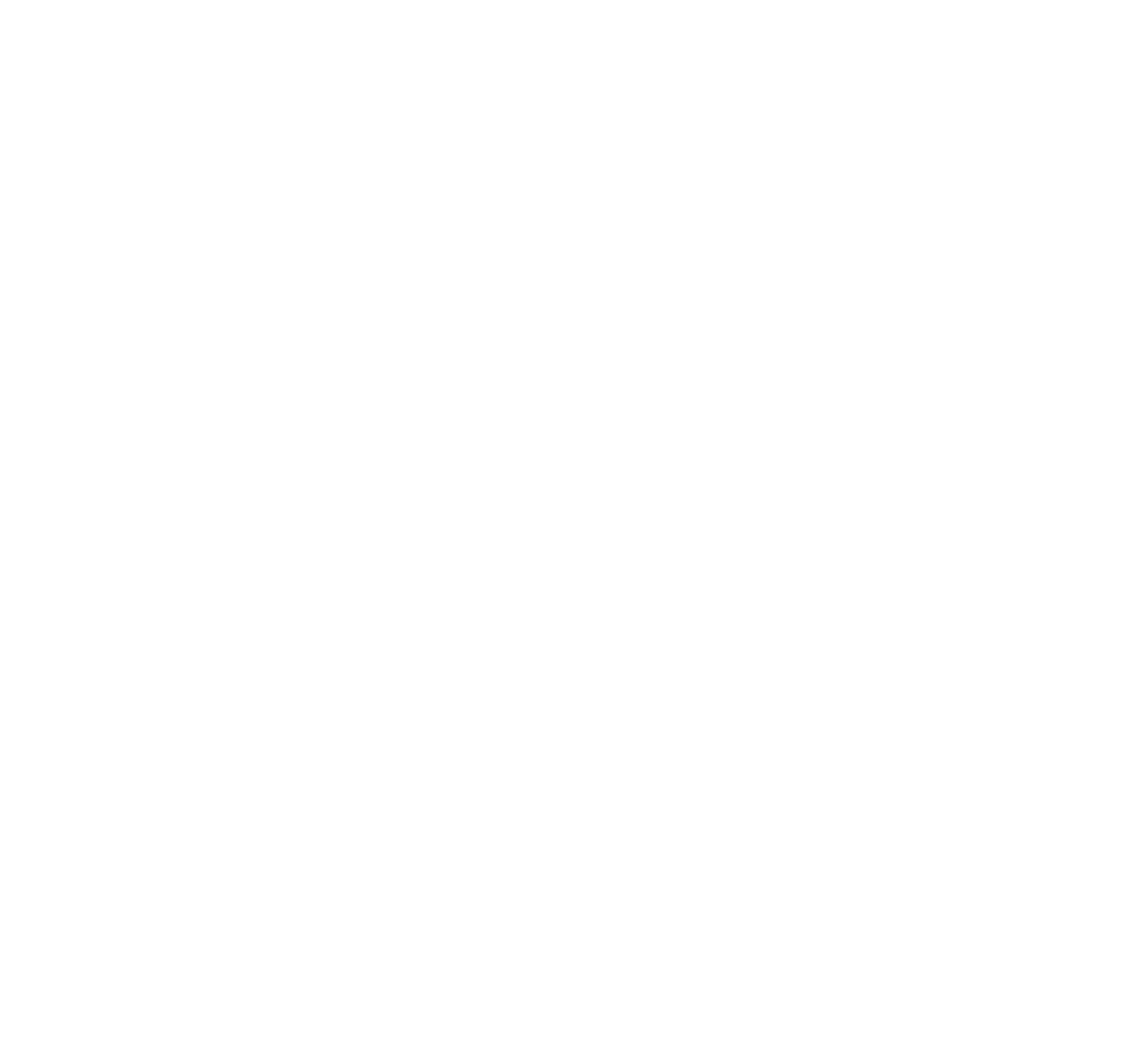partner-logo