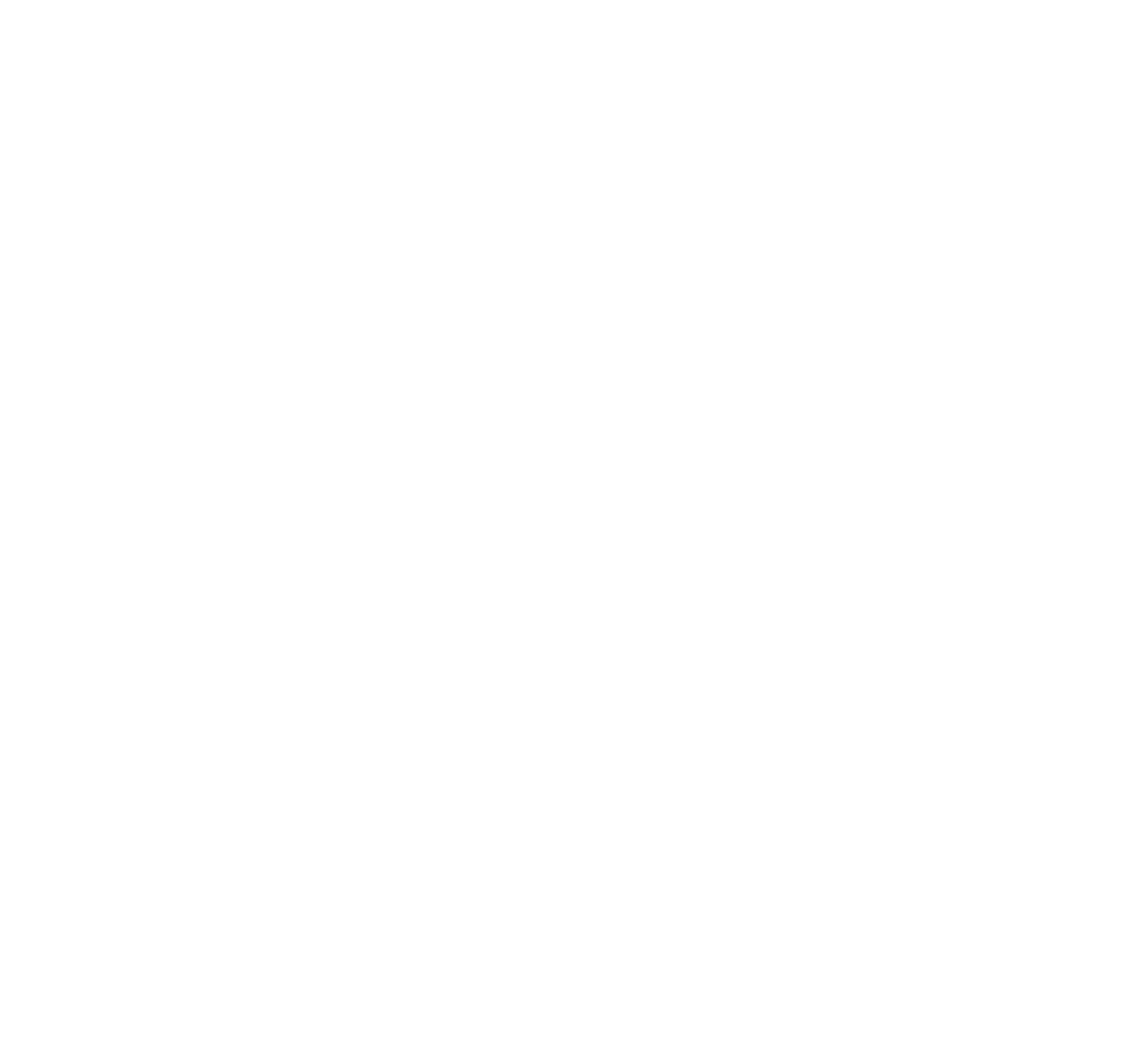 partner-logo