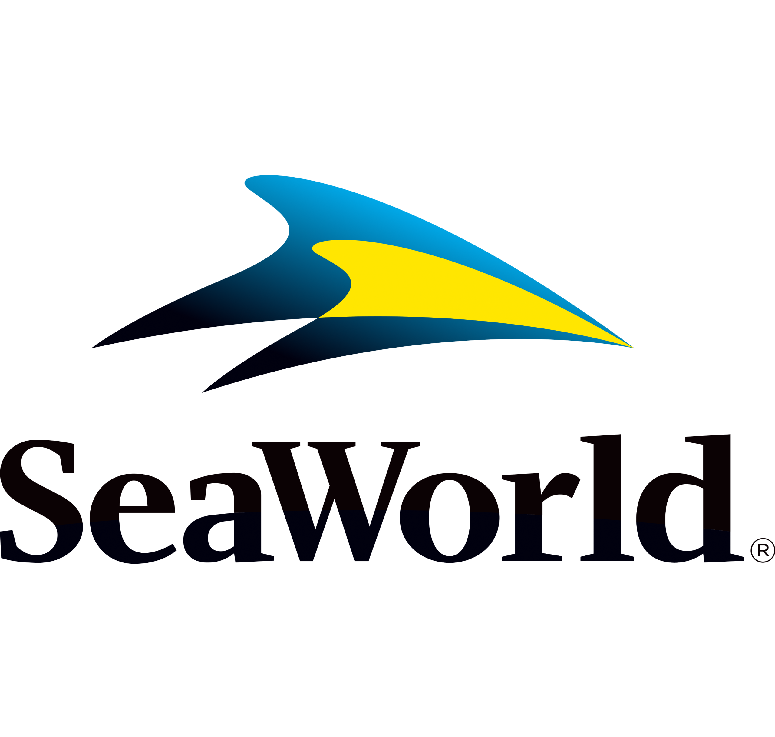 partner-logo
