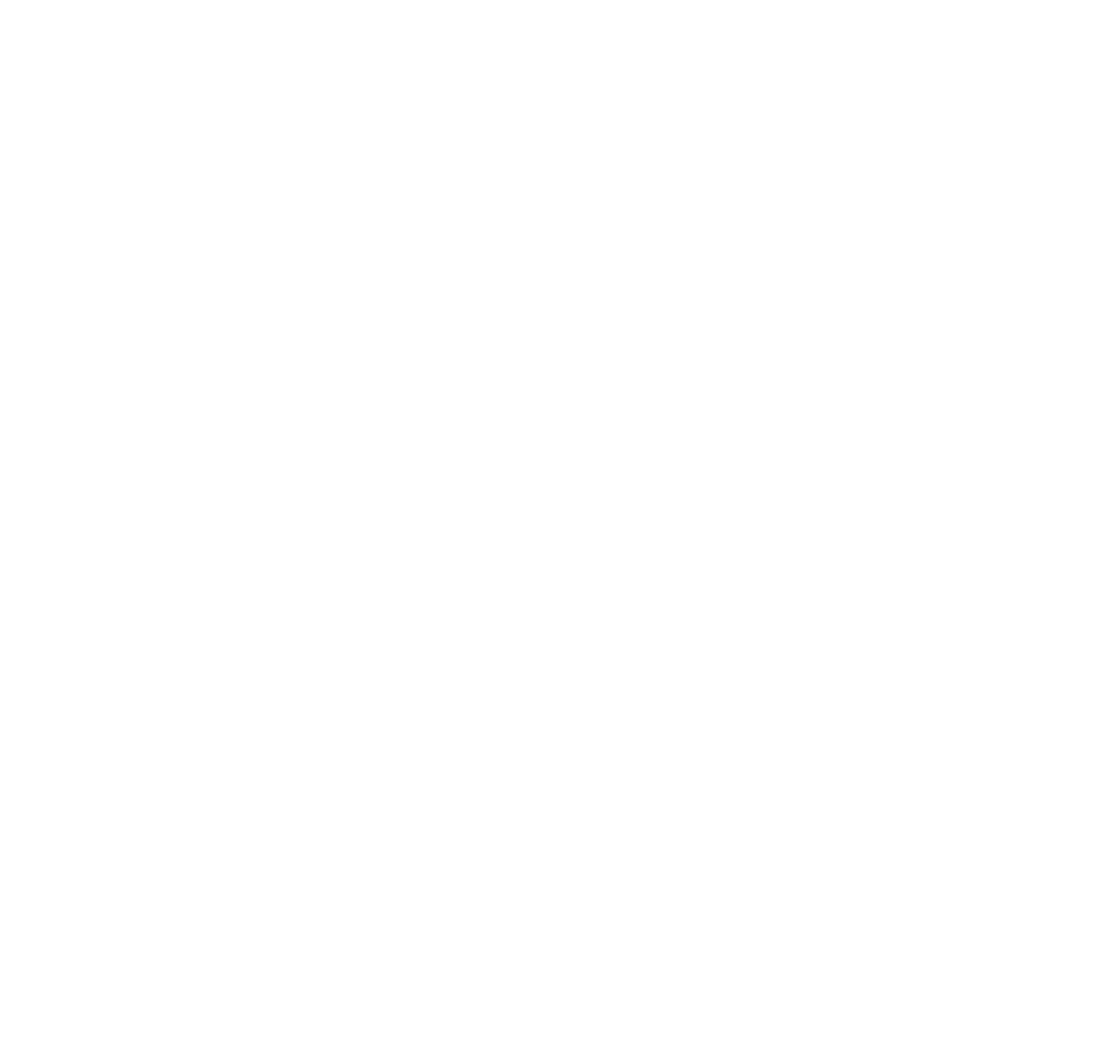 partner-logo