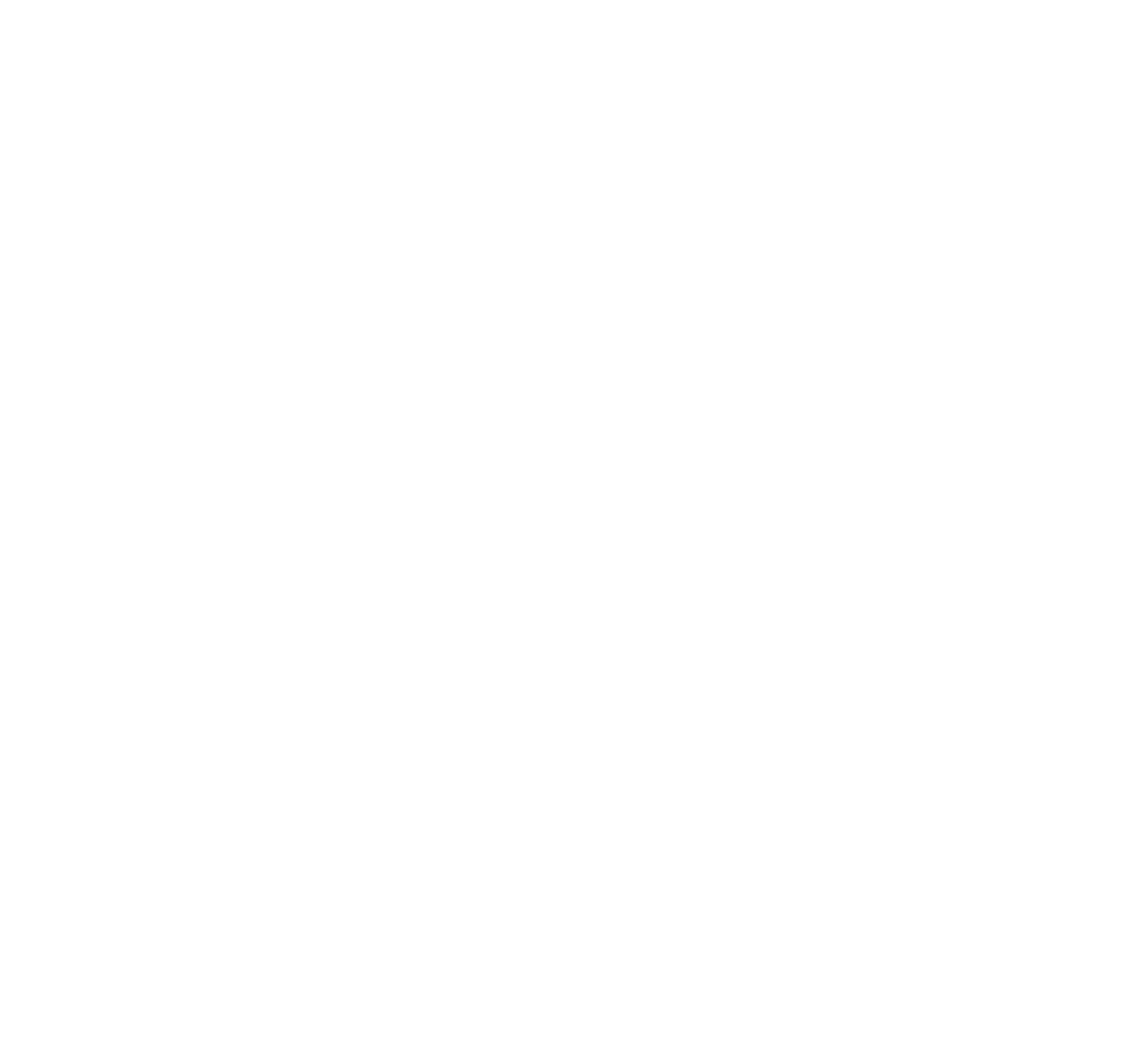 partner-logo