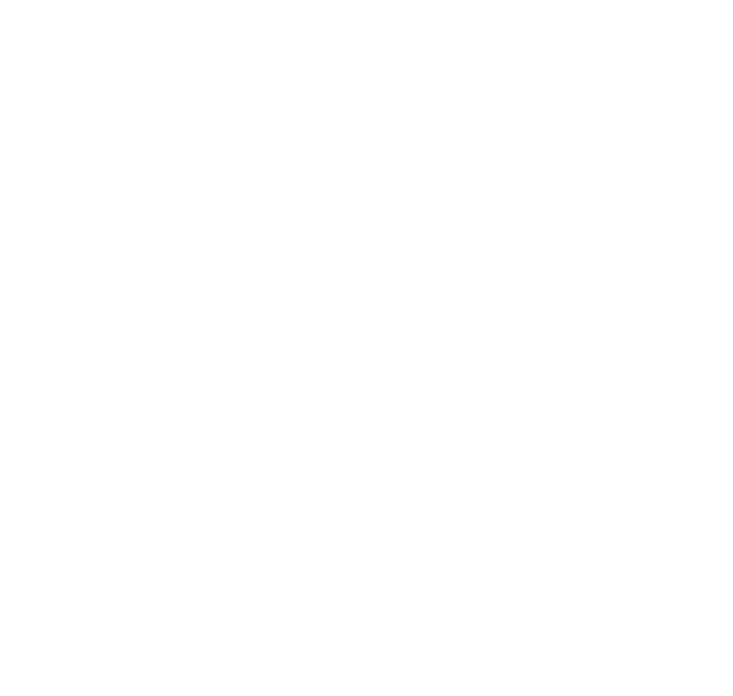 partner-logo